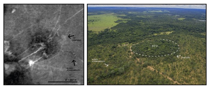 The World as Forest – a fabulously perceptive and captivating exhibition