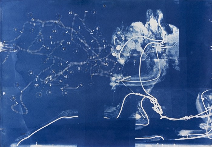 The World as Forest – a fabulously perceptive and captivating exhibition