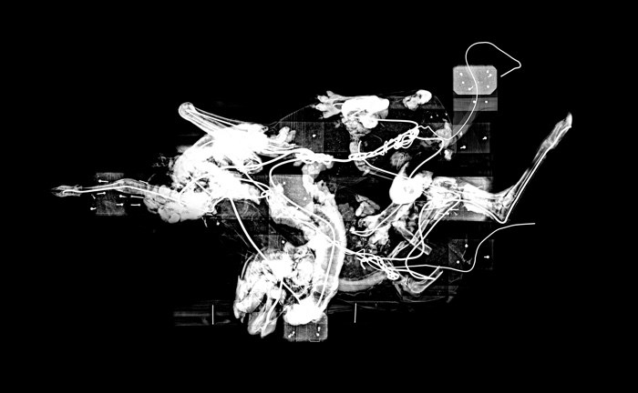 The World as Forest – a fabulously perceptive and captivating exhibition