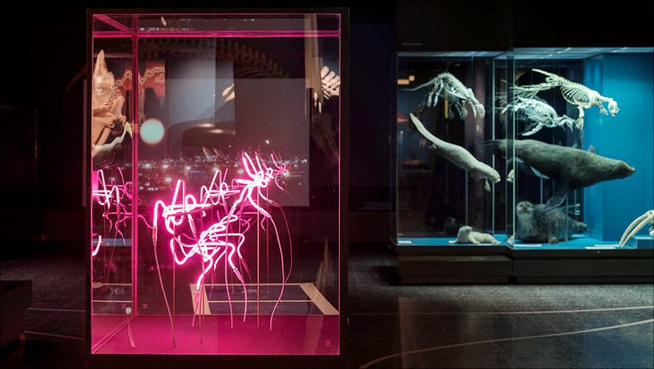 The World as Forest – a fabulously perceptive and captivating exhibition