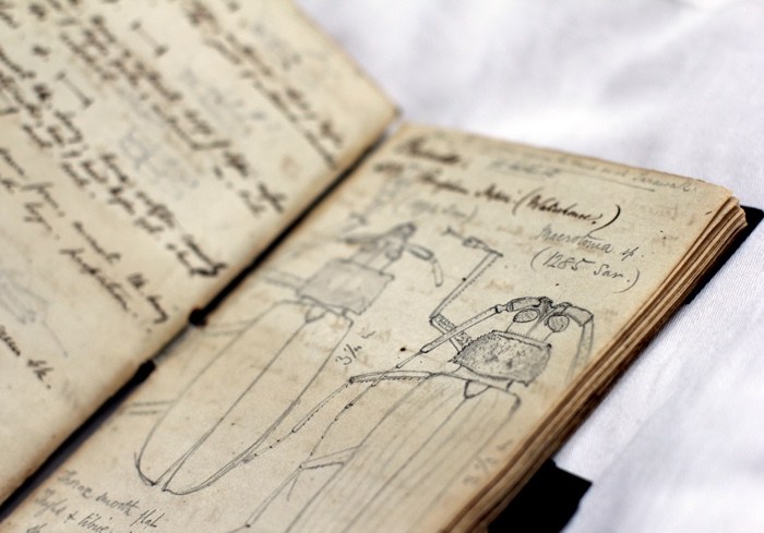 The World as Forest – a fabulously perceptive and captivating exhibition