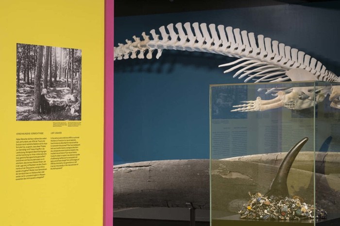 The World as Forest – a fabulously perceptive and captivating exhibition