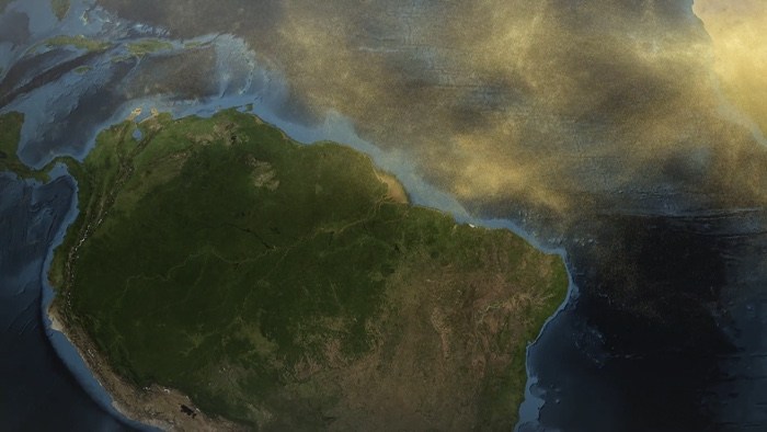 The World as Forest – a fabulously perceptive and captivating exhibition