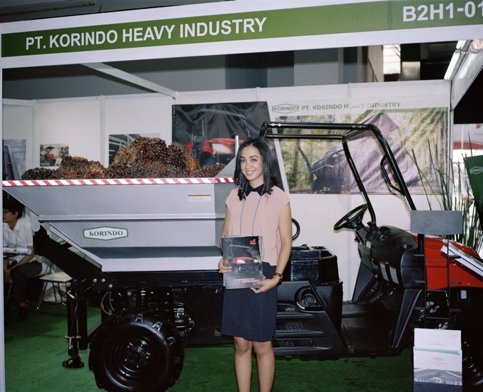 The World as Forest – a fabulously perceptive and captivating exhibition