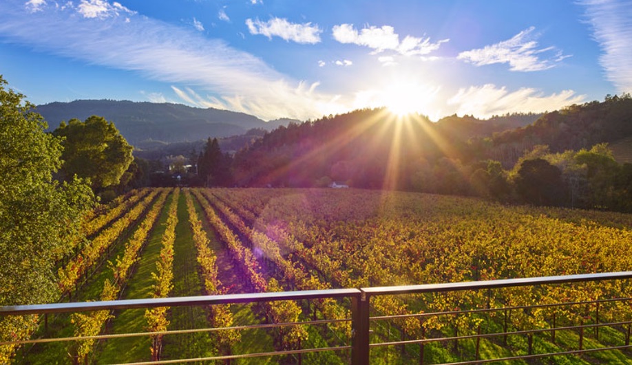 3 Romantic Hotels You’ll Want to Check Into With a Sweetheart