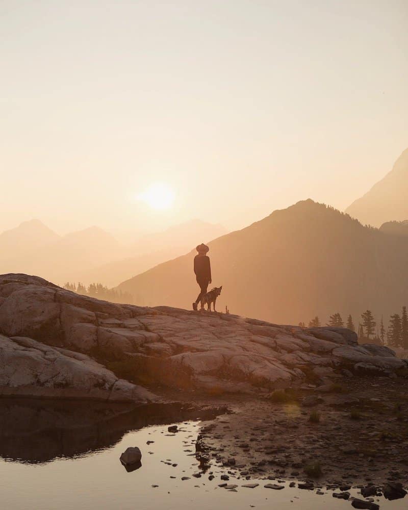 What This Woman’s Solo Trip With Her Dog Can Teach Anyone About a Break-Up