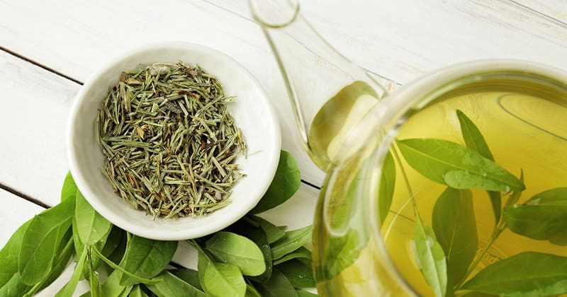 Beauty Benefits of Green Tea for Skin and Hair – THE YESSTYLIST – Asian Fashion Blog