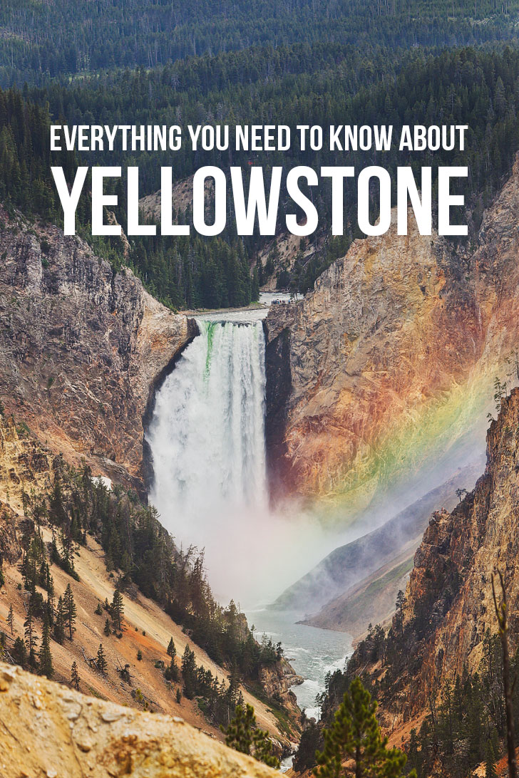 Best Things to Do in Yellowstone National Park + Essential Tips for Your Visit