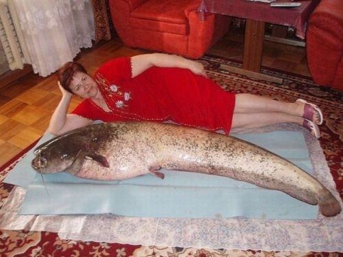Hilariously bizarre pictures that prove Russia is the weirdest place on Earth