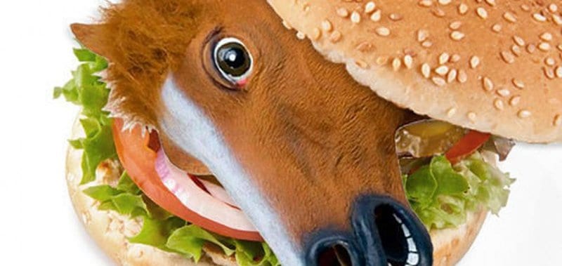 Goodbye, Burger King! Horse Meat In Burgers Confirmed
