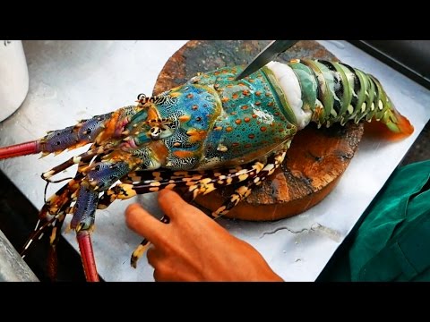 Thailand Street Food – The BIGGEST RAINBOW LOBSTER Cooked with Butter & Cheese