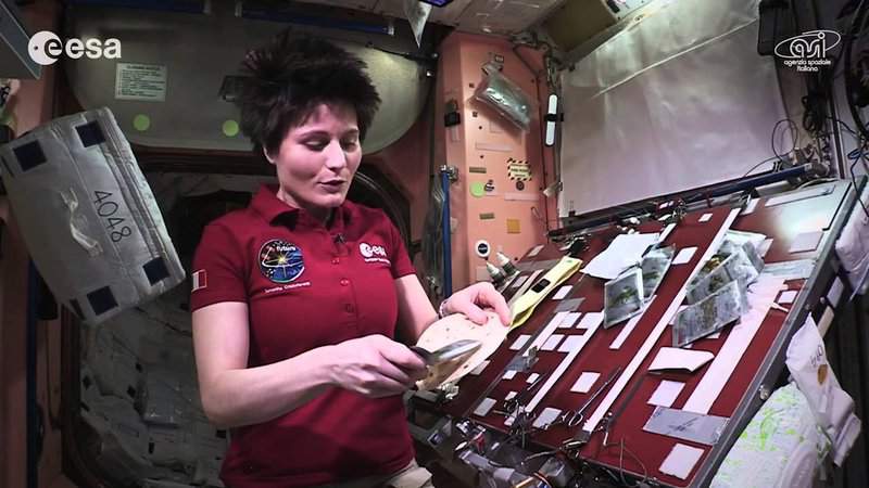 Watch cooking in space: whole red rice and turmeric chicken