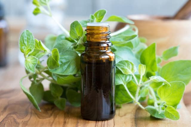 Why Oregano Essential Oil Is One Of The Most Powerful Natural Antibiotics Known To SCIENCE