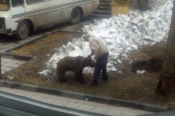Hilariously bizarre pictures that prove Russia is the weirdest place on Earth
