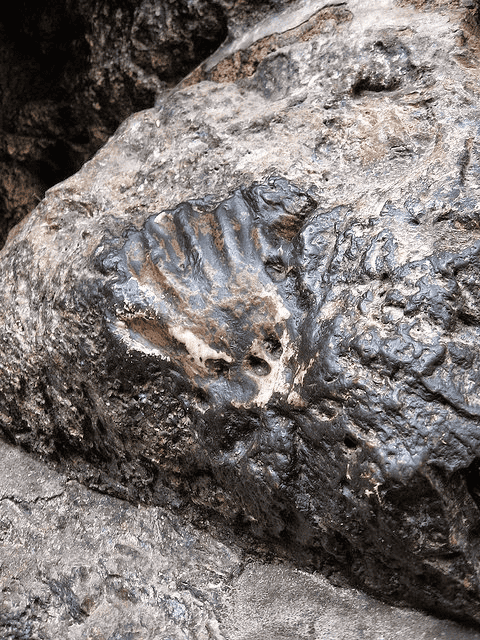 Scientific Evidence Proves Buddhists Monks Can Transform Their Physical Bodies Into Pure Light