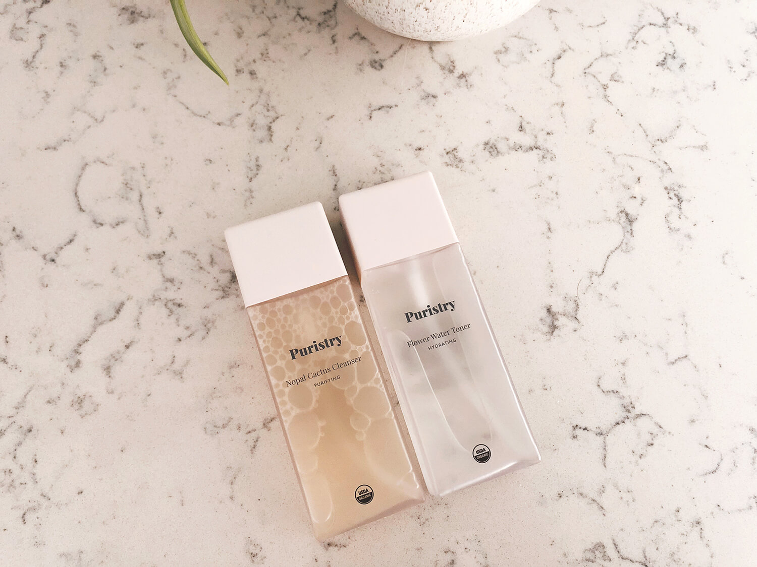 Puristry Organic Skincare &ndash; A Beautiful Mess