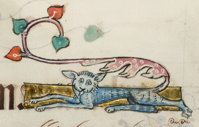 Check out Ugly Medieval Paintings of Cats, it looks like the medieval painters never laid eyes on a cat.