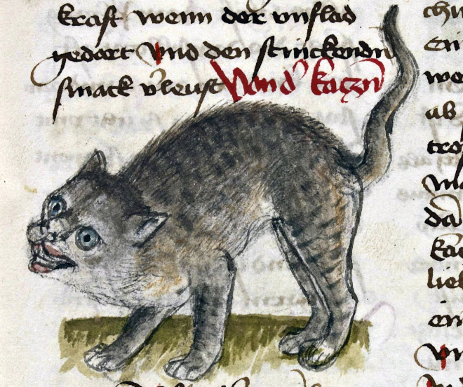 Check out Ugly Medieval Paintings of Cats, it looks like the medieval painters never laid eyes on a cat.