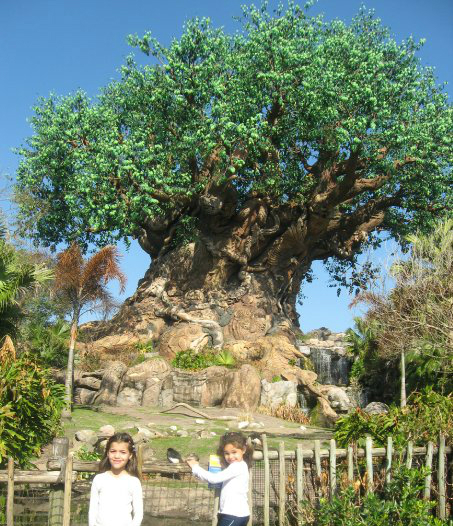 How To Truly Enjoy Walt Disney World® With Your PreSchooler ★ Elayna Fernandez ~ The Positive MOM ♥