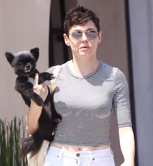 Rose McGowan Believes Harvey Weinstein Orchestrated Her Coke Bust 1 Rose McGowan Believes Harvey Weinstein Orchestrated Her Coke Bust