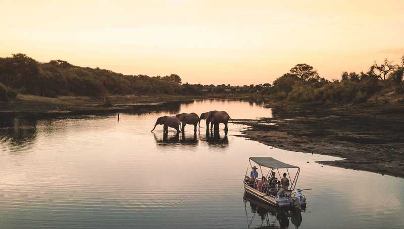 The Top Safari Destinations in Africa / The Blonde Abroad