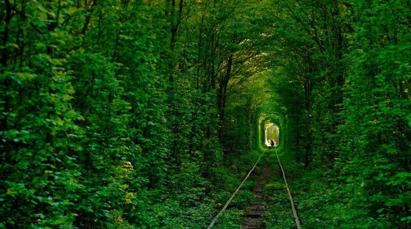 Discovering the most romantic corner in Ukraine, “Tunnel of Love”