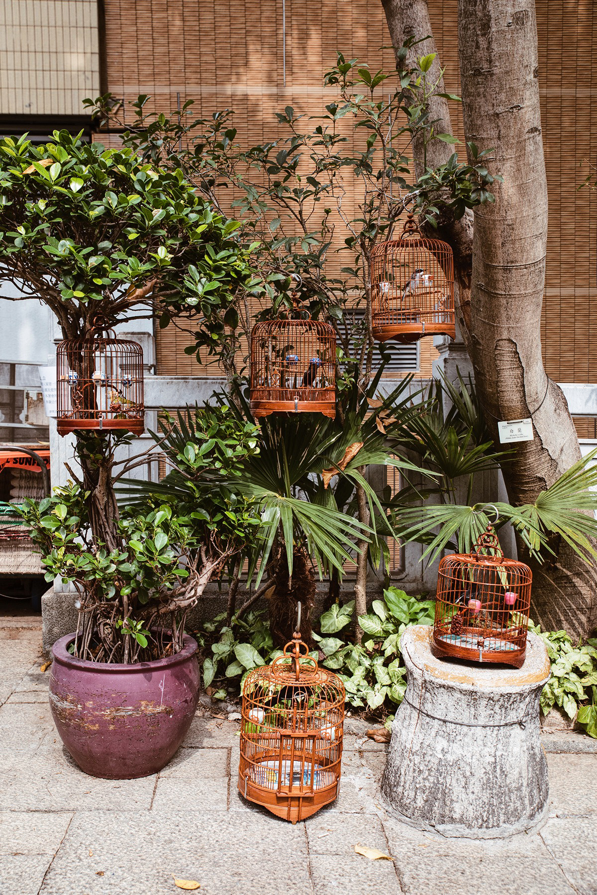 A Guide To Hong Kong