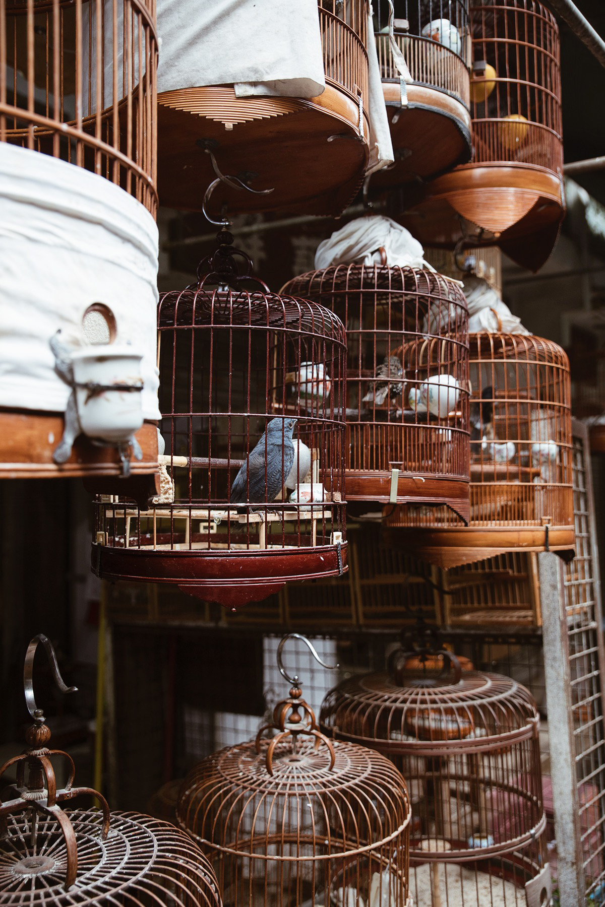 A Guide To Hong Kong