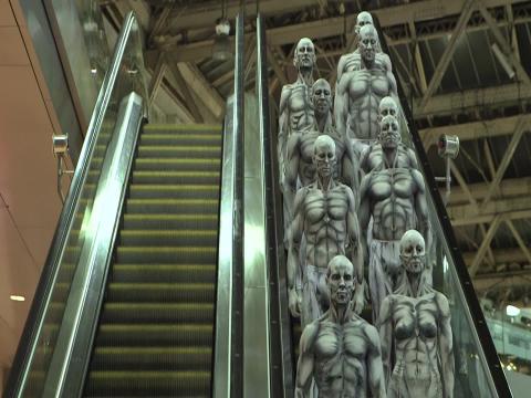 Robots will outnumber humans in just 30 YEARS, expert predicts