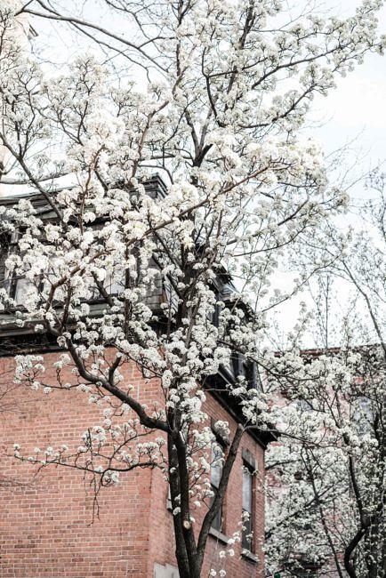 Spring Beauty :: Ruffle top & All things Beauty