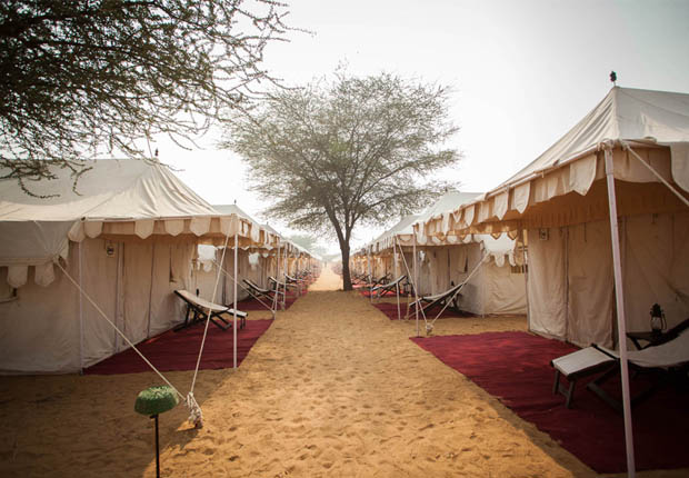 Why you should go on a festival tour this summer!