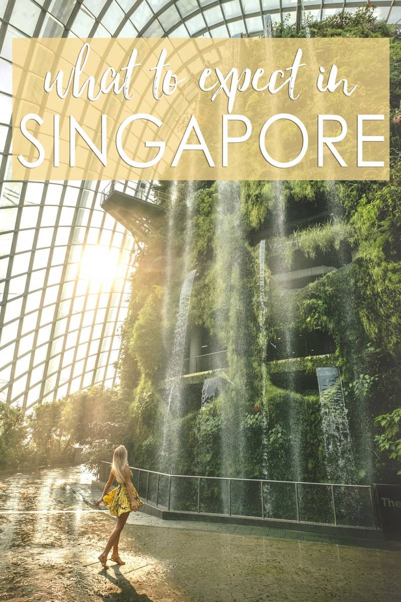 Singapore is a place like no other! The Ultimate Singapore Travel Guide