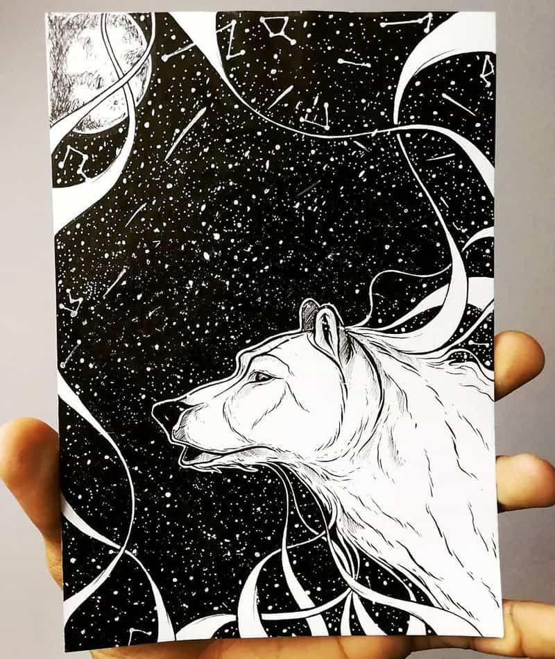 Magical Animal Illustrations Mixed With The Night Sky