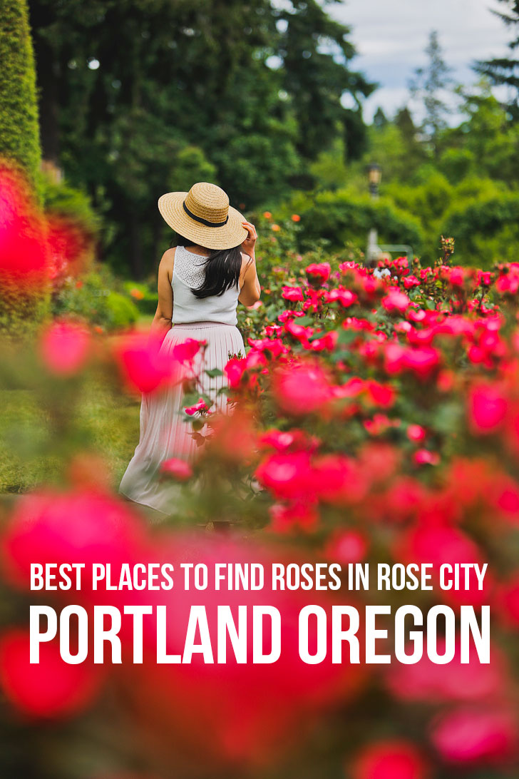Where to Find Roses in Portland Oregon aka Rose City