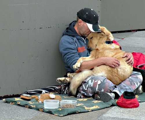 Amazing Animal Heroes! Watch These Incredible Acts of Kindness