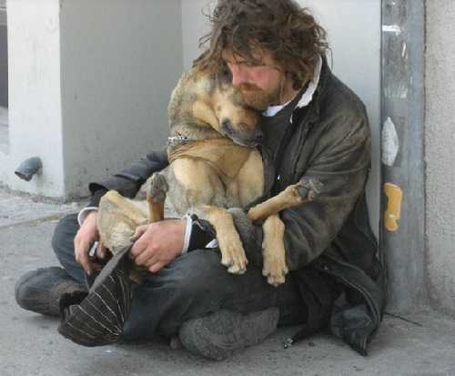 Amazing Animal Heroes! Watch These Incredible Acts of Kindness