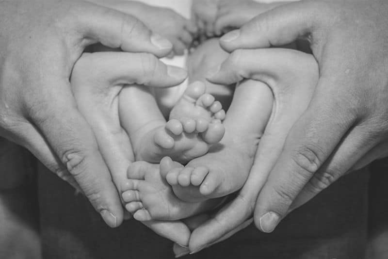 Daisies aside) These 12 signs speak of HIS love