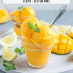 Vegan Mango Sorbet RECIPE ( Ready in 5 Min!)