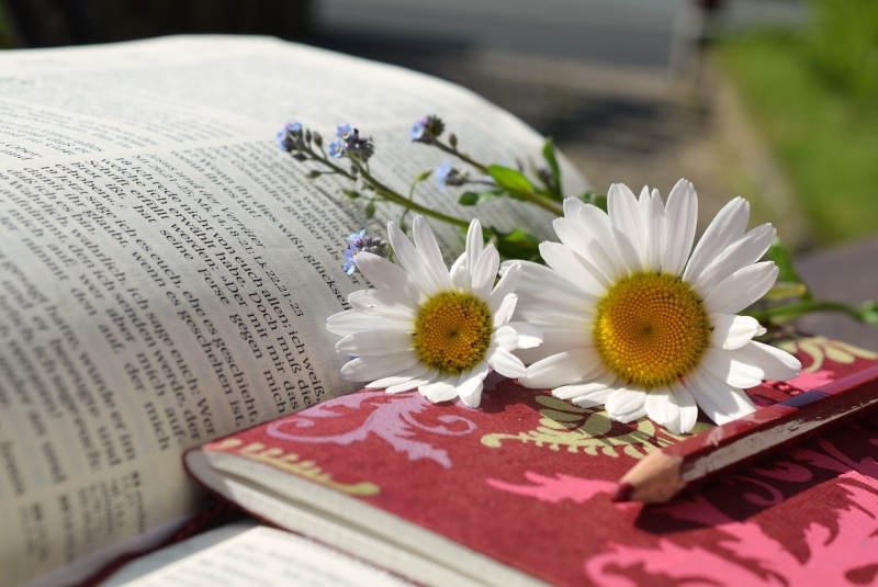 No Regrets &#8230; 5 Ways to Fill the Weekend With Meaning