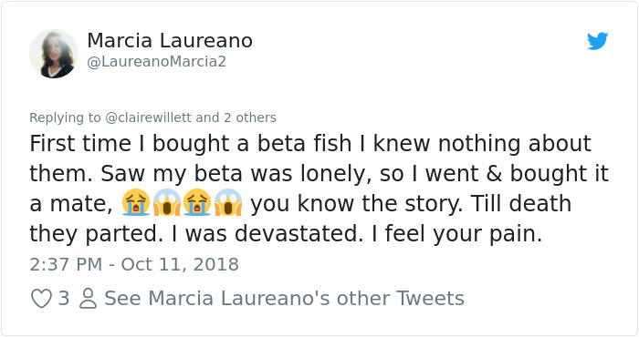 Start Your Day With a Big Laugh! This Woman’s Co-Workers Hold A Funeral For Her Dead Fish, See How It Turned Out