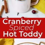 Delicious Hot Toddy With Cranberries!