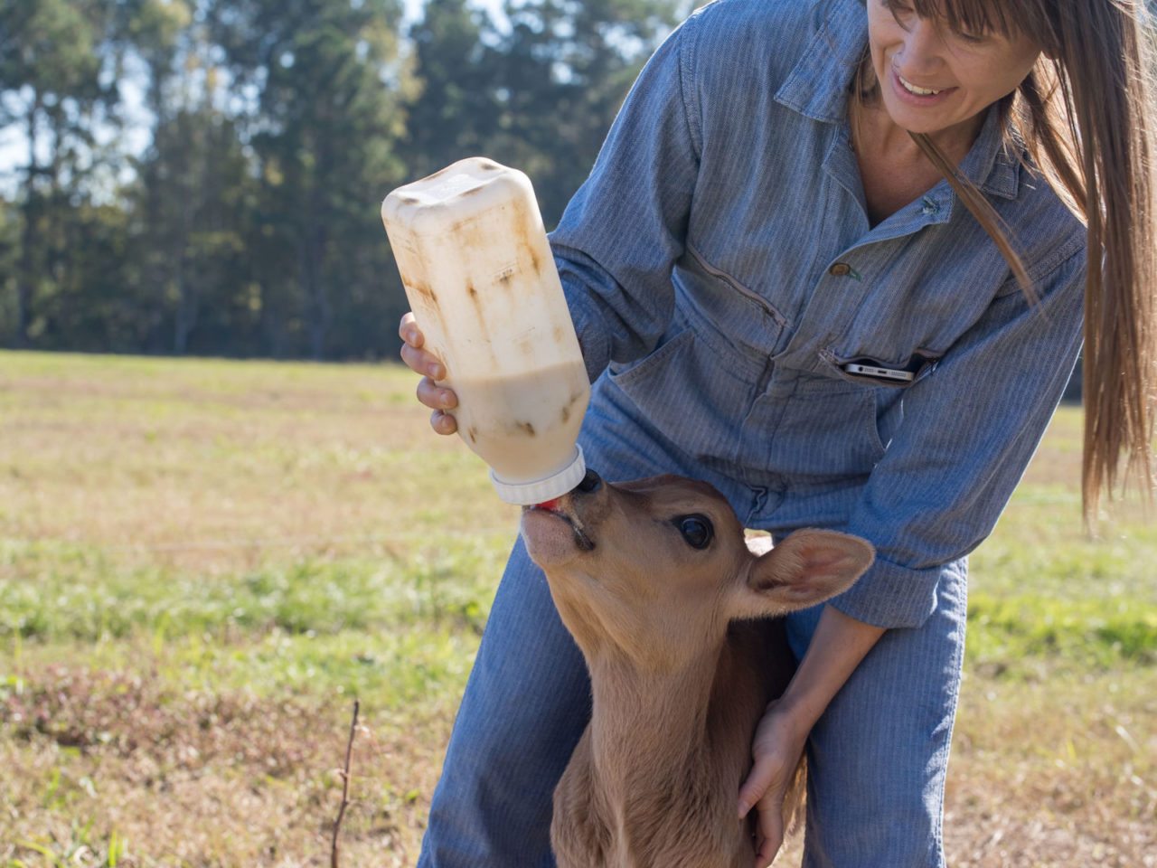 How to Spend Your Next Vacation On a Farm