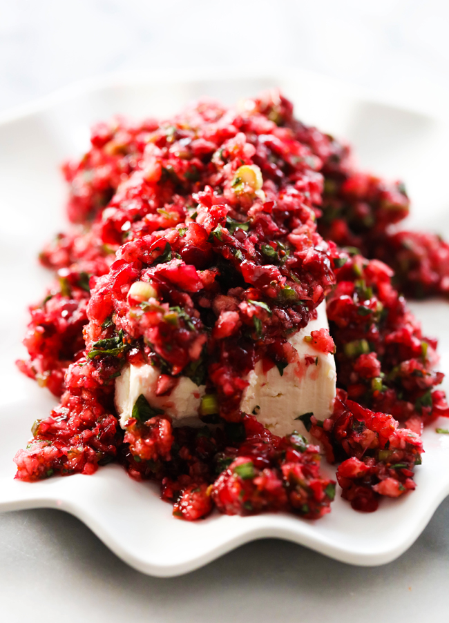 Cranberry Salsa Cream and Cheese Appetizer Recipe 3 Cranberry Salsa Cream and Cheese Appetizer Recipe