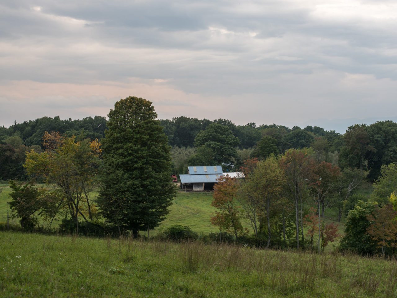 How to Spend Your Next Vacation On a Farm