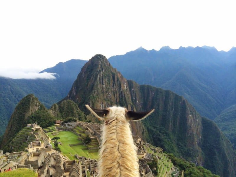 What People Should Keep In Mind As They Plan Their Next Big Getaway.