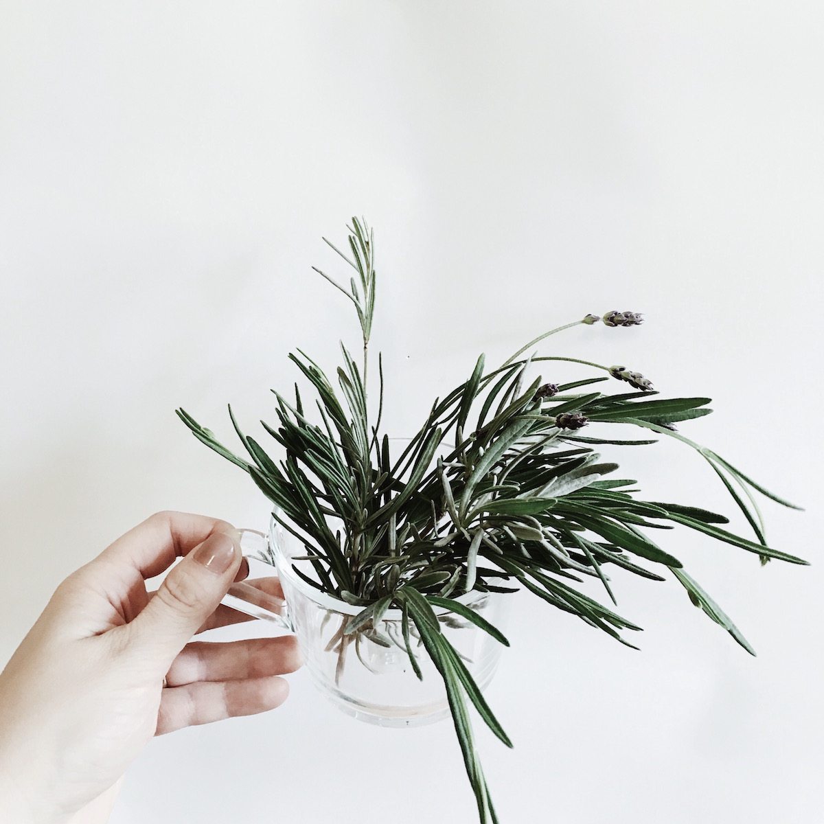 Living Sober. Think Twice Before You Ask Someone Why They’re Not Drinking.