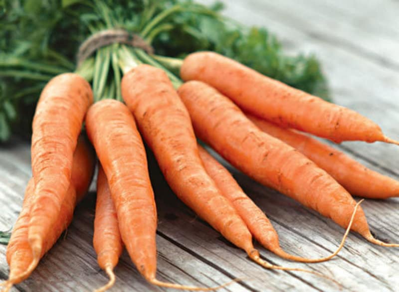 Carrot mask Spring SOS Vitamin Face Masks Recipes DIY