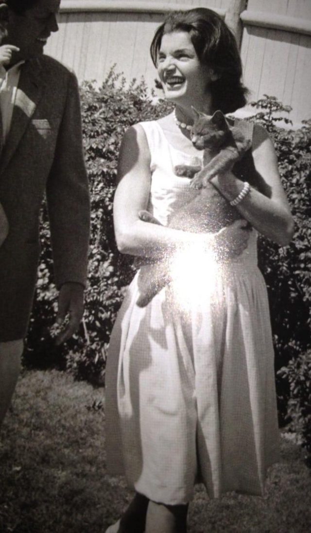 celebrity with cats pictures How cute! 10+ Photos of Celebrities with Favorite Cats. Freddie Mercury, Marilyn Monroe and Michael Jackson.