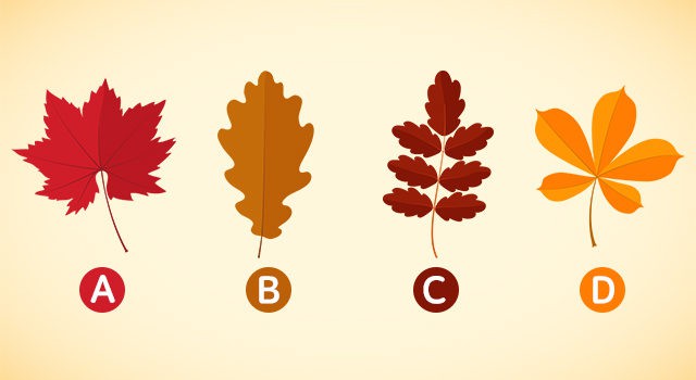 Choose a leaf and find out how you behave in a relationship