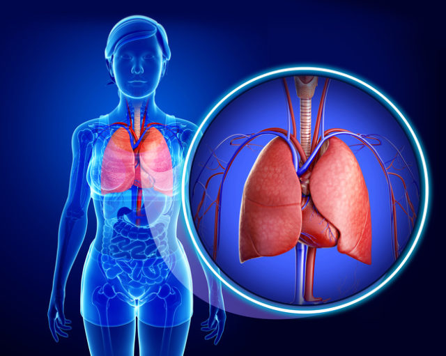 lung pattern